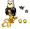 OwlBitch